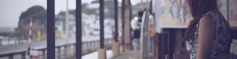 �����������T�v���y�V�F�C�N�b�N�z�h�{�o�����X�⋋���T�C�g